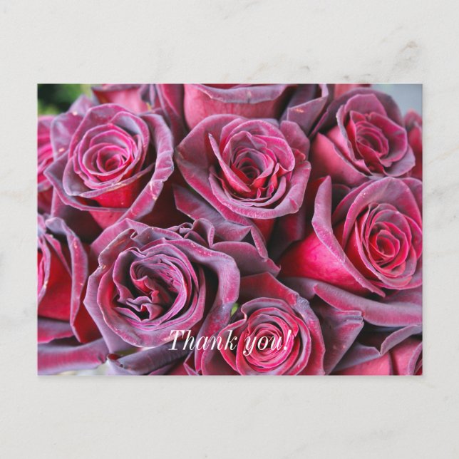 Postal Cartão de agradecimento Beleza de Veludo (Frente)