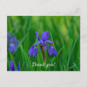 Postal Cartão de agradecimento Blue Dutch Among Leaves