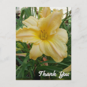 Postal Cartão de agradecimento da flor Lírio Amarelo