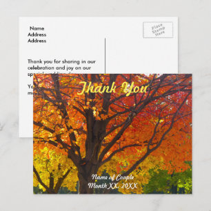 Postal Cartão de Agradecimento de Casamento Folhas de Out