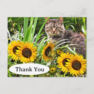 Postal Cartão de Agradecimento de Gato Fofo e Girassóis