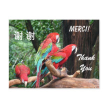 cartão de agradecimento em Inglês/Francês/Chinês
