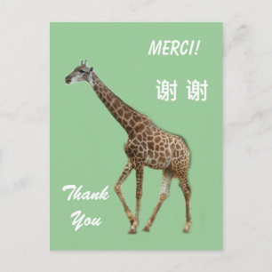 Postal cartão de agradecimento em Inglês/Francês/Chinês