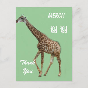 Postal cartão de agradecimento em Inglês/Francês/Chinês