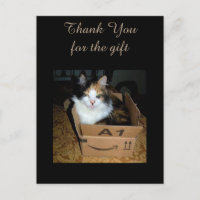 Cartão de agradecimento engraçado do gato Calico n