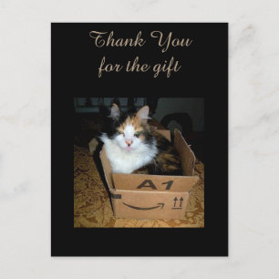 Postal Cartão de agradecimento engraçado do gato Calico n