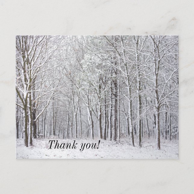 Postal Cartão de agradecimento Snow Woods (Frente)