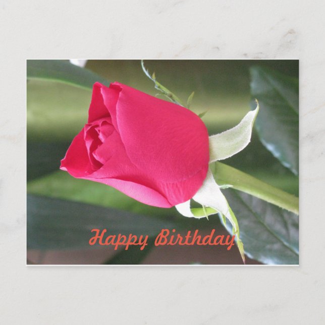 Postal Cartão de Aniversário (Frente)