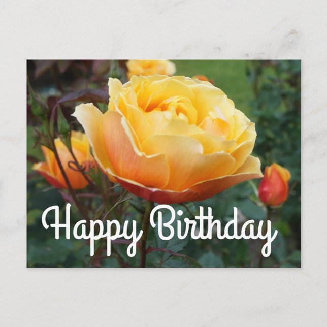 Postal Cartão de Aniversário About Face Rose #2 (Frente)