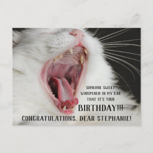 Postal Cartão de Aniversário Bonito de Gato Engraçado