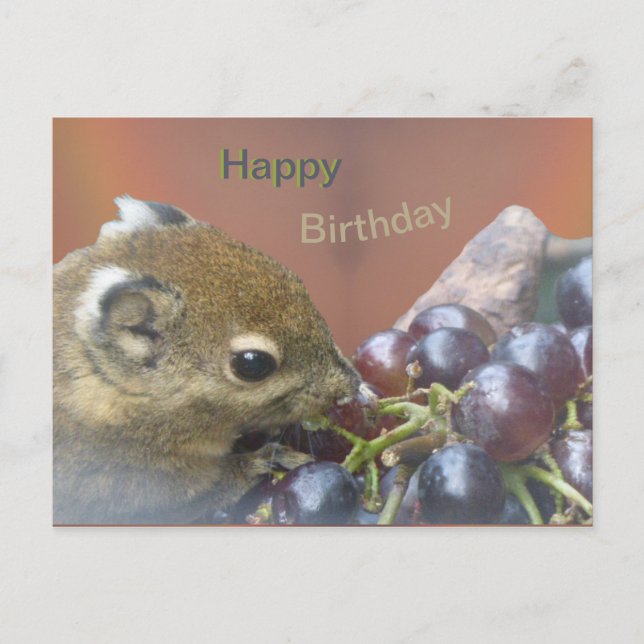 Postal Cartão de aniversário com esquilo fofo (Frente)