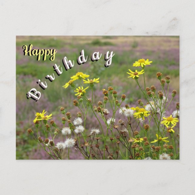 Postal Cartão de Aniversário com Flores Amarelas e Branca (Frente)