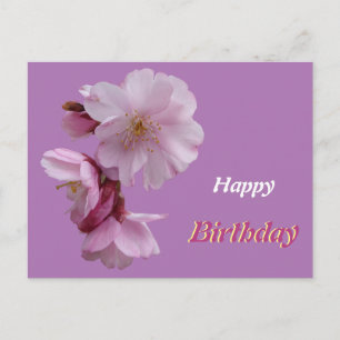 Postal Cartão de Aniversário com Flores Cor-de-Rosa de Pr