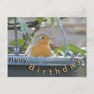 Postal Cartão de Aniversário com Robin em Vaso de Planta