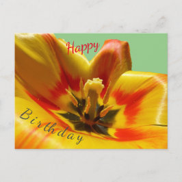 Postal Cartão de Aniversário com Tulipa Laranja Amarela F
