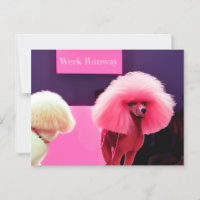 Cartão de Aniversário da Passarela do Poodle Rosa 