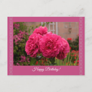 Postal Cartão de Aniversário de Design Elegante