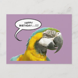 Postal Cartão de Aniversário de Papagaio Engraçado