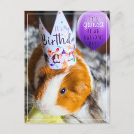 Postal Cartão de Aniversário de Porquinho-da-Índia