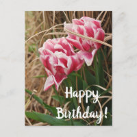 Cartão de Aniversário de Tulipas Brancas e Rosas