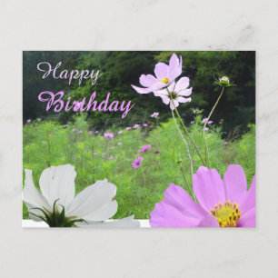 Postal Cartão de Aniversário do Campo de Flores Silvestre