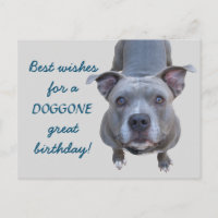Cartão de Aniversário do Excelente Pitbulgo