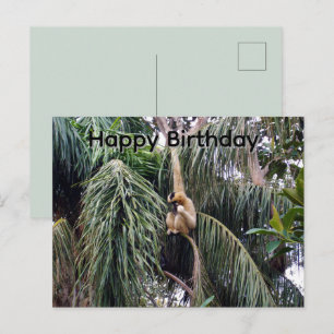 Postal Cartão de aniversário do Gibbon apenas pendurado