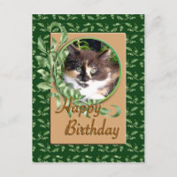 Cartão de Aniversário do Green Eyed Calico Kitten