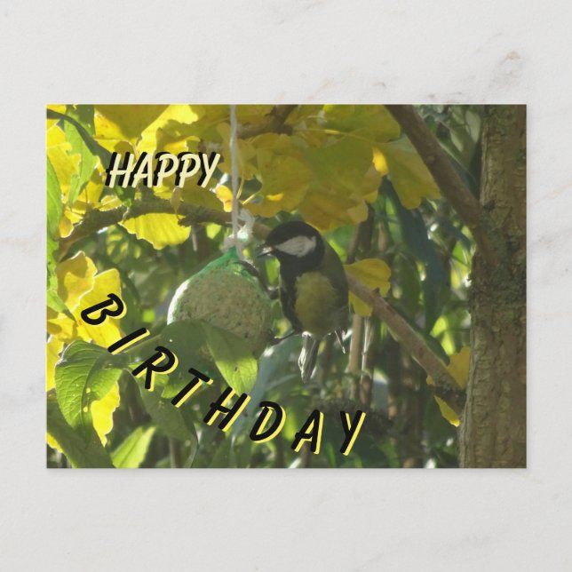 Postal Cartão de Aniversário do Passarinho Comilão (Frente)