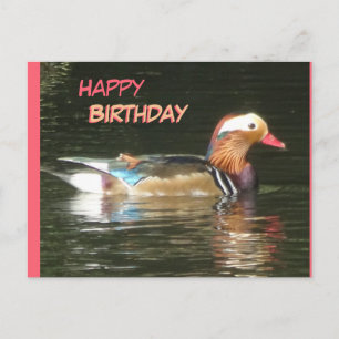 Postal Cartão de Aniversário do Pato-Mandarim Feliz