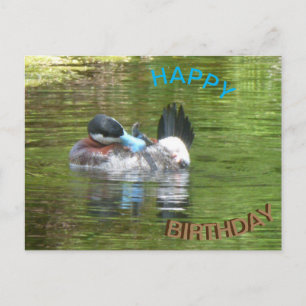 Postal Cartão de aniversário do pato Ringtaling
