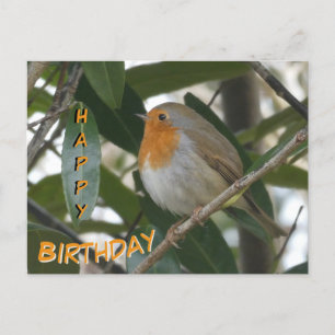 Postal Cartão de Aniversário do Robin Fofo & Folhas Verde