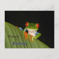 Cartão de Aniversário do Sapo Espetacular de Olhos