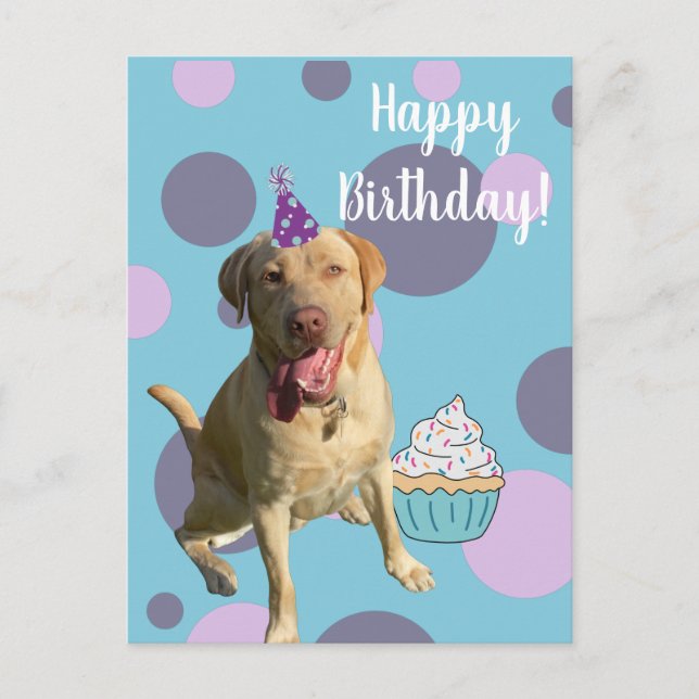Postal Cartão de Aniversário Dudley Labrador (Frente)