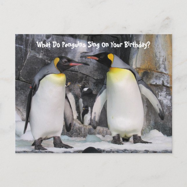 Postal Cartão de aniversário engraçado de pinguins impera (Frente)