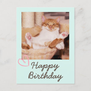 Postal Cartão de aniversário engraçado e vintage de gato