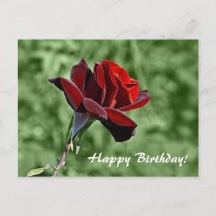 Postal Cartão de Aniversário Feliz