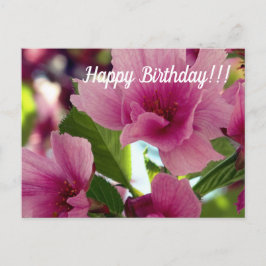 Postal Cartão de Aniversário Feliz