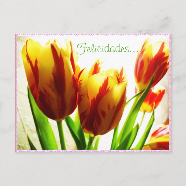 Postal Cartão de Aniversário Feliz (Frente)