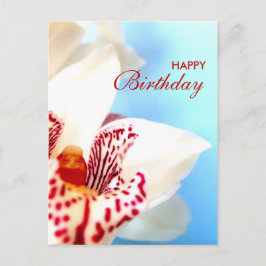 Postal Cartão de Aniversário Feliz