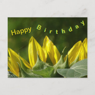 Postal Cartão de Aniversário Feliz com Girassóis