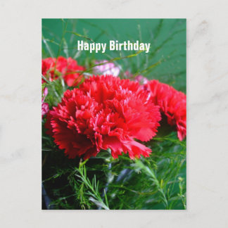 Postal Cartão de Aniversário Feliz dos Cravos Vermelhos