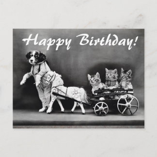 Postal Cartão de Aniversário Feliz para Cães e Gatos Vint