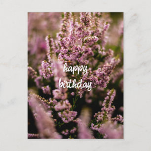 Postal Cartão de Aniversário Fotografia Flores Heather