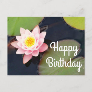 Postal Cartão de Aniversário Lírio de Água Rosa #1