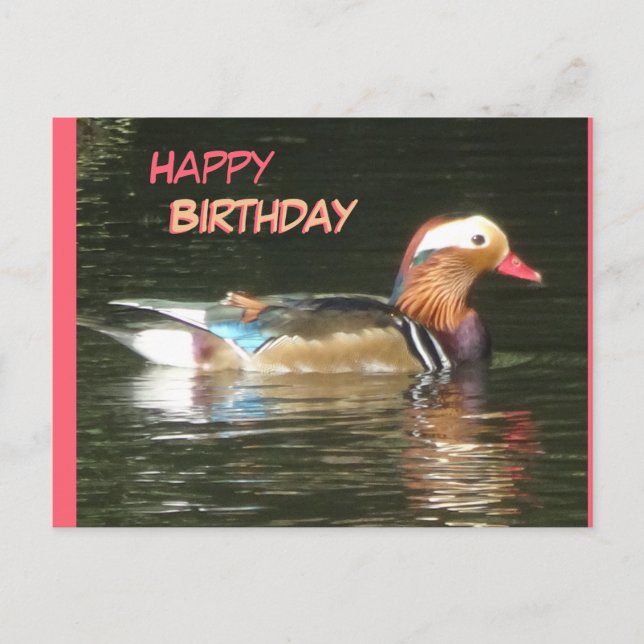 Postal Cartão de Aniversário Pato Mandarim Feliz (Frente)