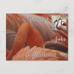 Postal Cartão de aniversário personalizado com Flamingo d