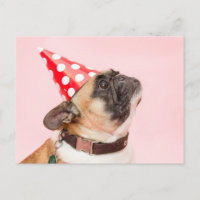 Cartão de aniversário Pug