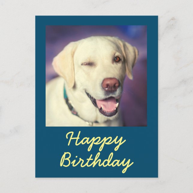 Postal Cartão de Aniversário Retrô Divertido de Cachorro (Frente)