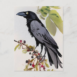 Postal Cartão de Arte de Corvo